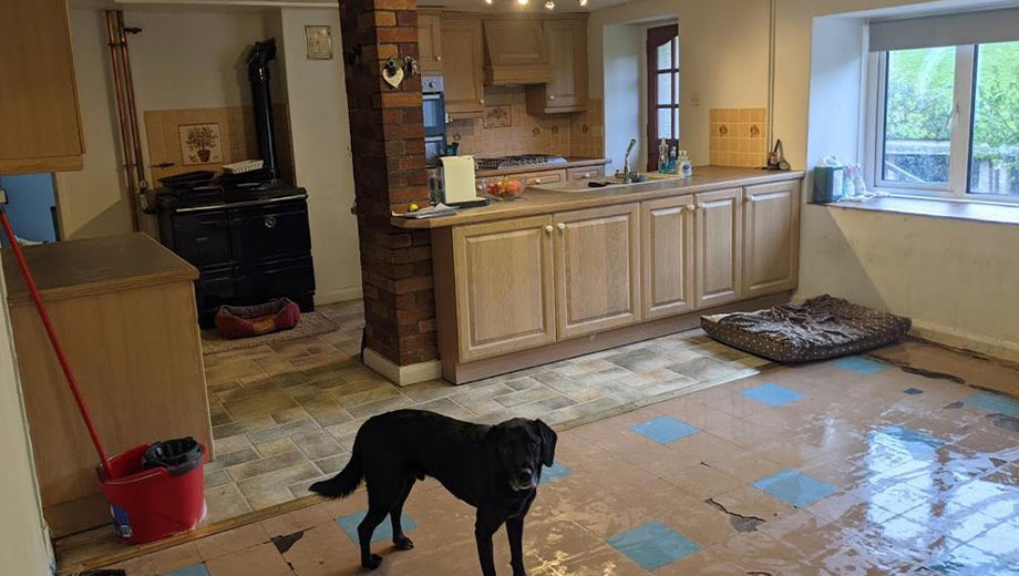 old kitchen before the kitchen remodel