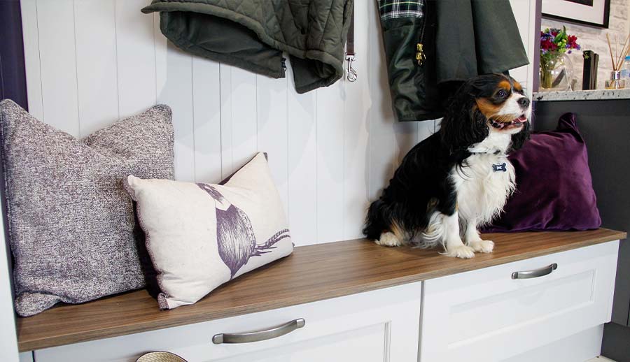 Boot room in a pet friendly kitchen